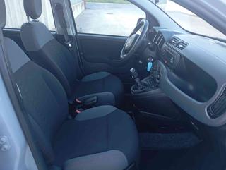 FIAT Panda usata, con Controllo trazione