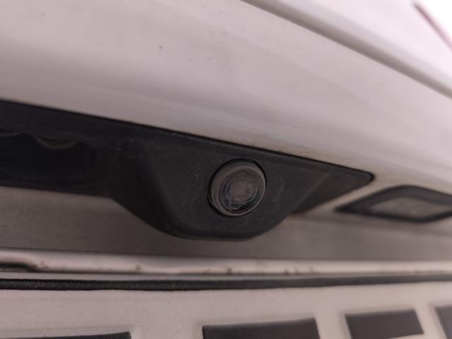 ALFA ROMEO Stelvio usata, con Controllo elettronico della corsia