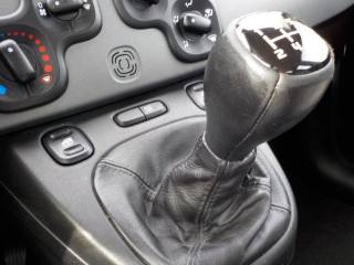 FIAT Panda usata 44