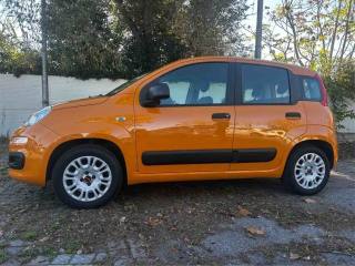 FIAT Panda usata, con Airbag Passeggero