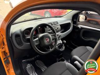 FIAT Panda usata, con Immobilizzatore elettronico
