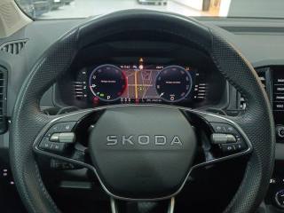 SKODA Karoq usata, con Autoradio digitale