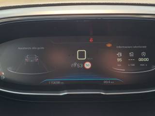 PEUGEOT 3008 usata, con Climatizzatore