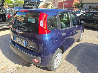 FIAT Panda usata, con Airbag Passeggero