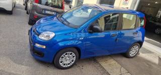 FIAT Panda usata, con Alzacristalli elettrici