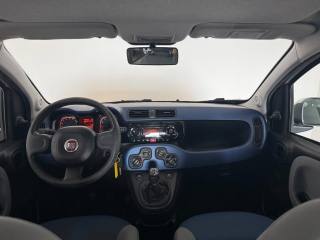 FIAT Panda usata 8