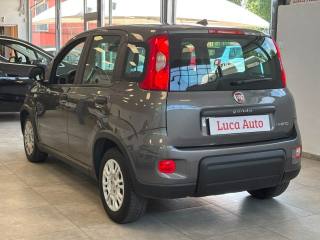 FIAT Panda usata, con Boardcomputer
