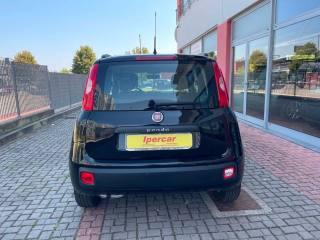 FIAT Panda usata, con Cerchi in lega
