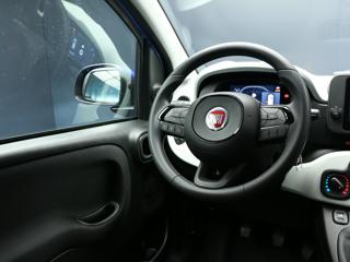 FIAT Panda Cross usata, con Immobilizzatore elettronico