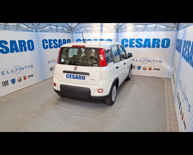 FIAT New Panda usata, con Airbag Passeggero