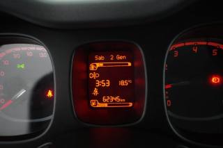 FIAT Panda usata 14