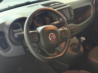 FIAT Panda Cross usata, con Controllo trazione