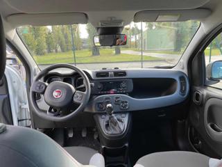 FIAT Panda usata 27