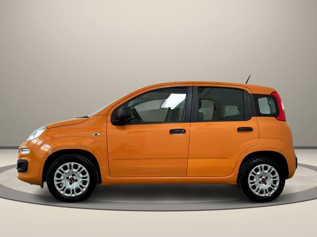 FIAT Panda usata, con Airbag Passeggero