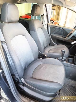 FIAT Punto usata 19