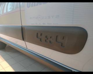 FIAT New Panda usata 20