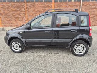 FIAT Panda usata 2