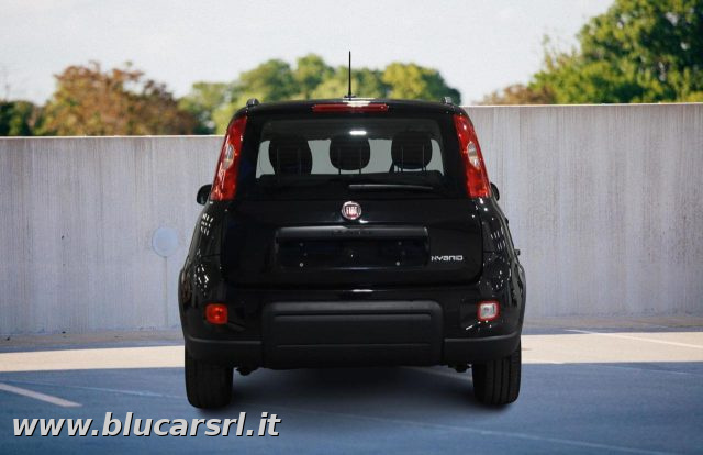FIAT Panda usata, con Antifurto