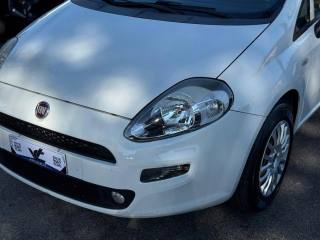 FIAT Punto usata, con Climatizzatore