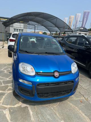 FIAT Panda usata 24