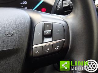 FORD Fiesta usata, con Fendinebbia