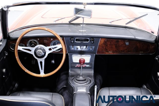 AUSTIN Healey usata 8