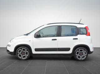 FIAT Panda usata, con Airbag Passeggero