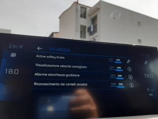 PEUGEOT 3008 usata, con Cruise Control