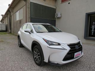 LEXUS NX 300 usata, con Airbag laterali