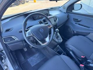LANCIA Ypsilon usata, con Fendinebbia