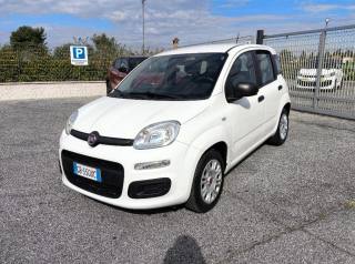 FIAT Panda usata 2