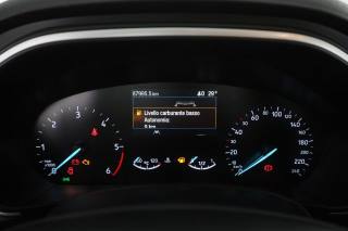 FORD Focus usata 6