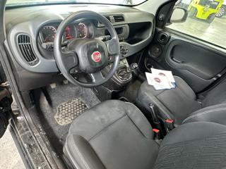 FIAT Panda usata, con Servosterzo