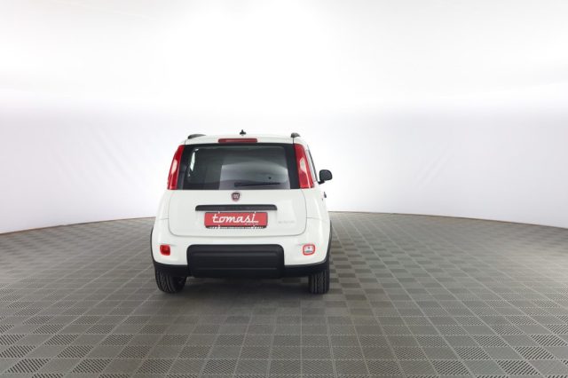 FIAT Panda usata 4