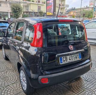 FIAT Panda usata, con Airbag Passeggero