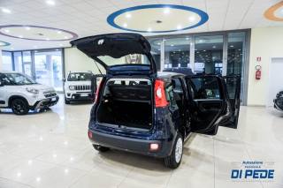 FIAT Panda usata, con Controllo trazione
