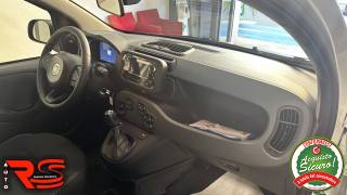 FIAT Panda usata, con Cruise Control
