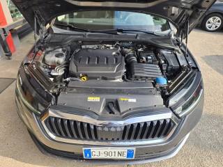SKODA Octavia usata 135