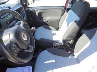 FIAT Panda usata 20