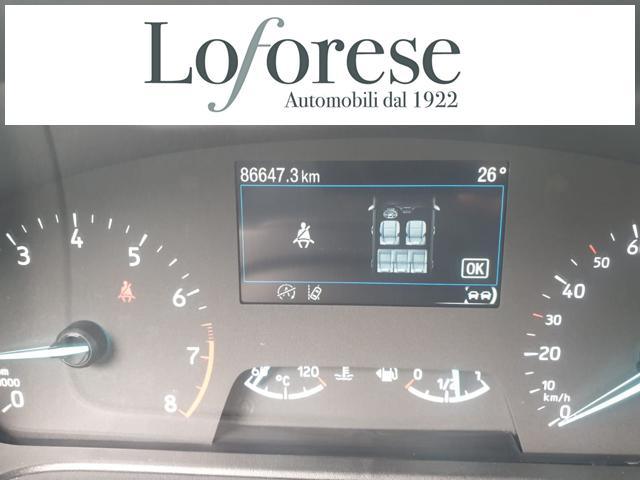 FORD Fiesta usata, con Fendinebbia