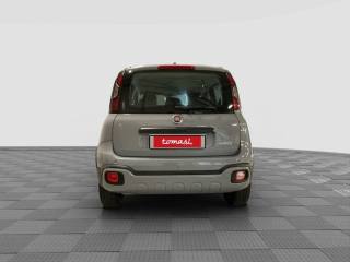 FIAT Panda usata 3