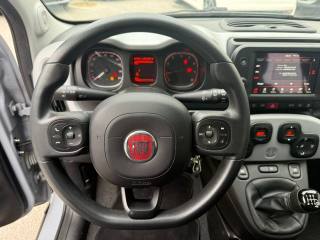 FIAT Panda usata 16