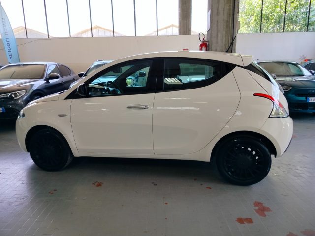 LANCIA Ypsilon usata 12