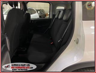 FIAT Panda Cross usata, con Climatizzatore