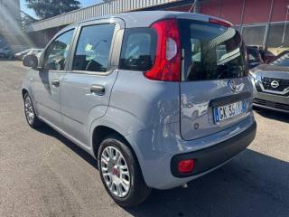 FIAT Panda usata, con Airbag Passeggero