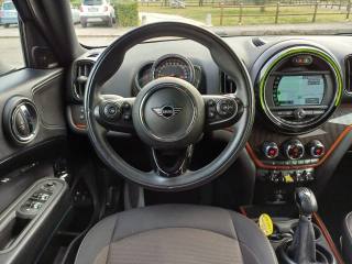 MINI Countryman usata, con Fari direzionali