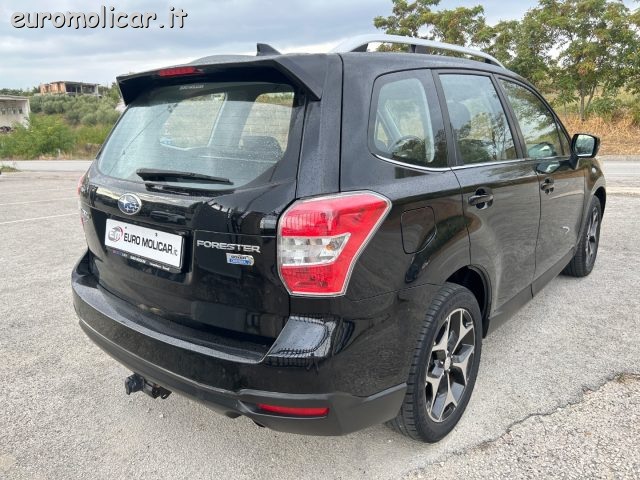 SUBARU Forester usata, con Cruise Control