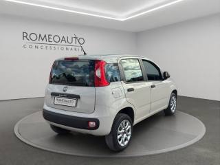 FIAT Panda usata, con Controllo trazione