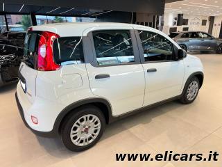 FIAT Panda usata, con Antifurto