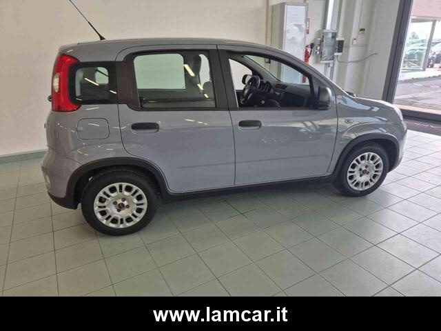 FIAT Panda usata, con Immobilizzatore elettronico